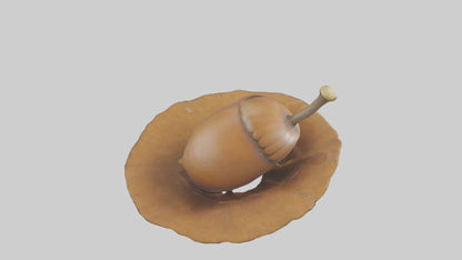 3D model Acorn Model 1 VR / AR / low-poly