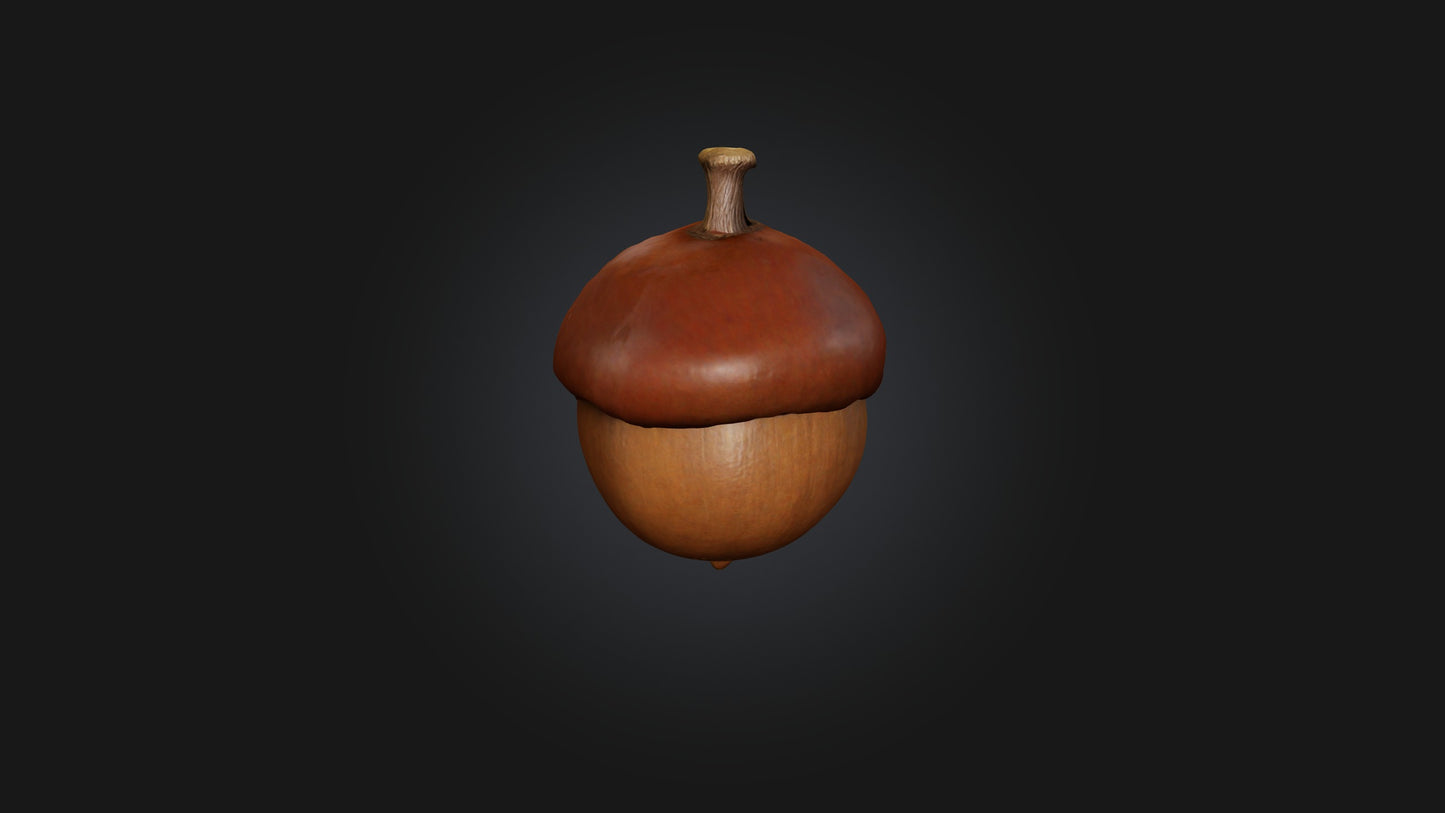 3D model Acorn Model VR / AR / low-poly
