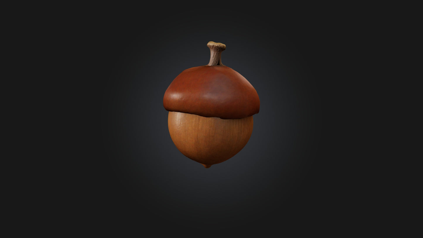 3D model Acorn Model VR / AR / low-poly