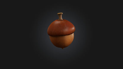 3D model Acorn Model VR / AR / low-poly