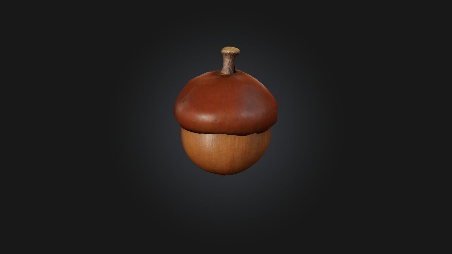3D model Acorn Model VR / AR / low-poly