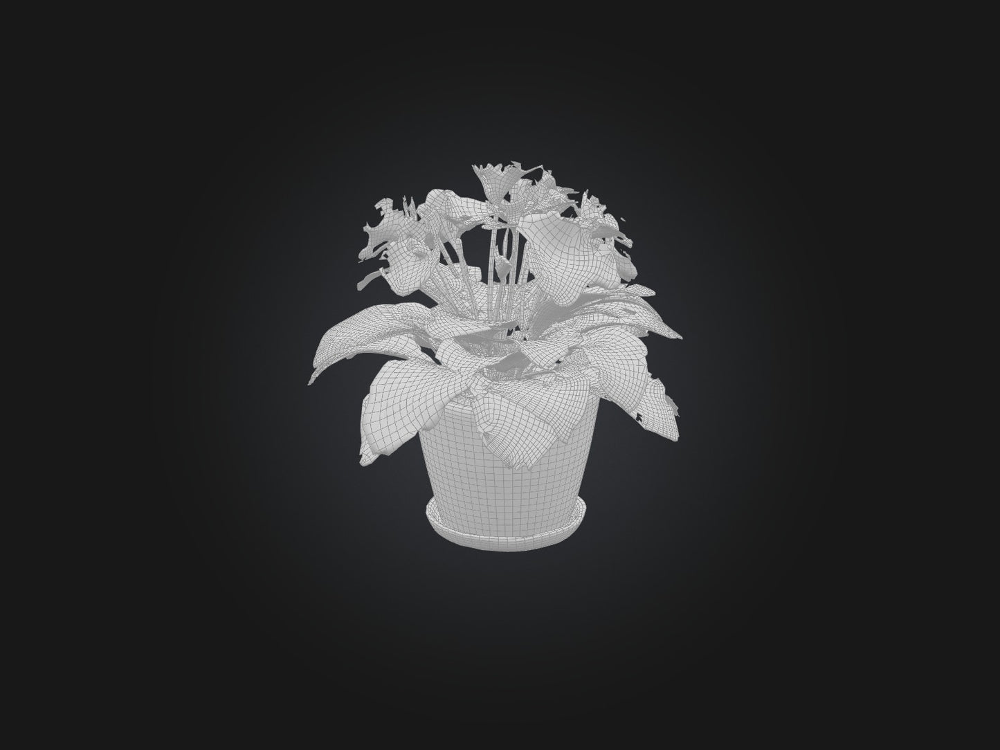 3D model African Violet Model VR / AR / low-poly