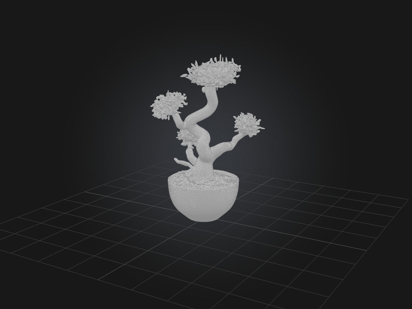 3D model Aglaophotis VR / AR / low-poly