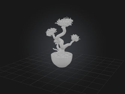 3D model Aglaophotis VR / AR / low-poly