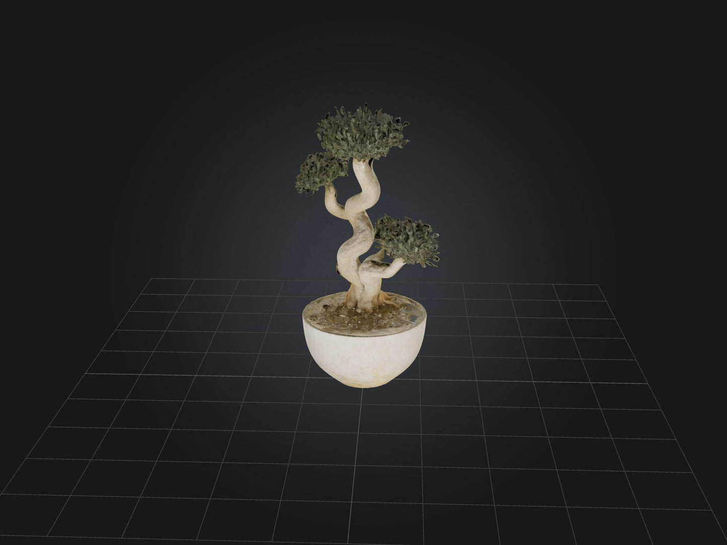 3D model Aglaophotis VR / AR / low-poly