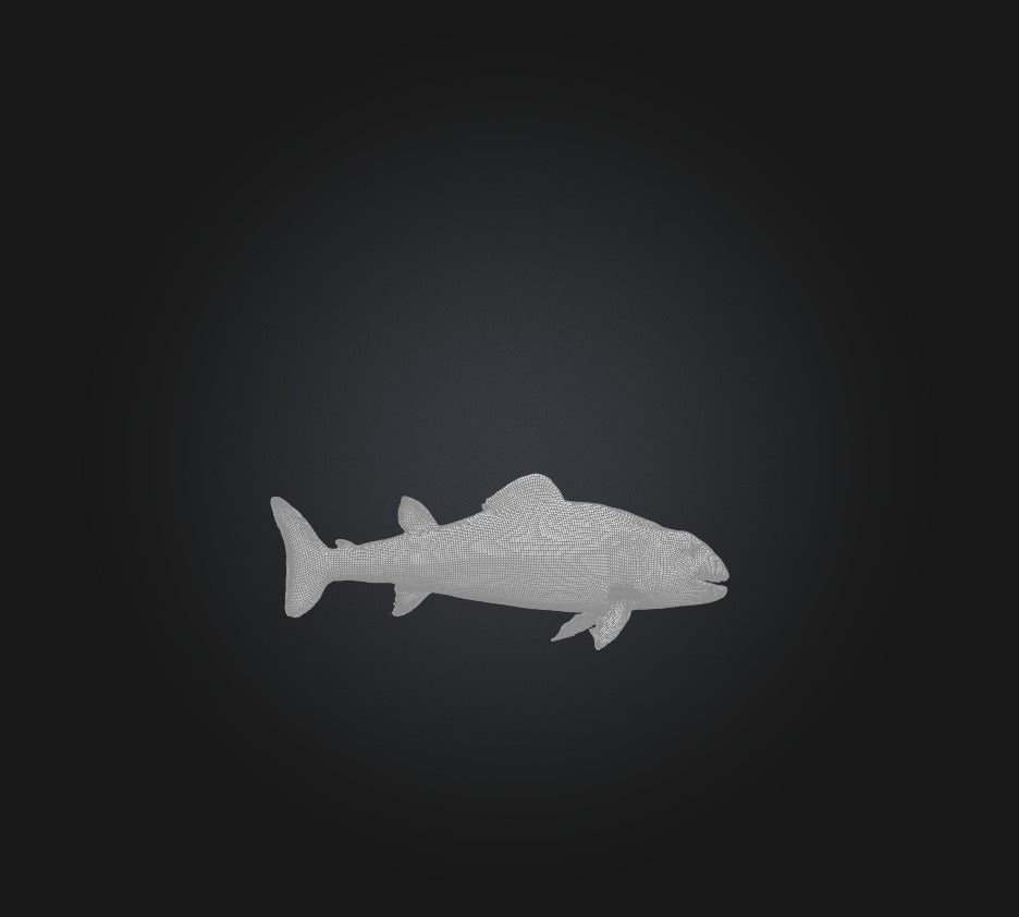 3D model Agnatha Fish VR / AR / low-poly