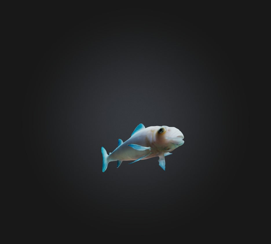 3D model Agnatha Fish VR / AR / low-poly