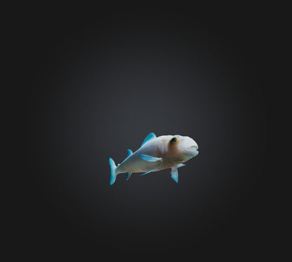 3D model Agnatha Fish VR / AR / low-poly