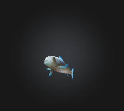 3D model Agnatha Fish VR / AR / low-poly