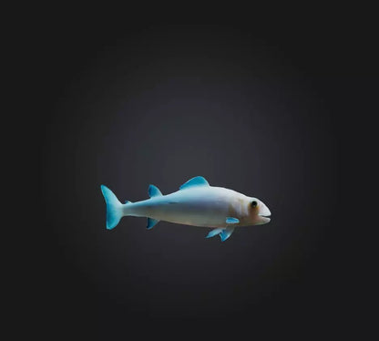 3D model Agnatha Fish VR / AR / low-poly