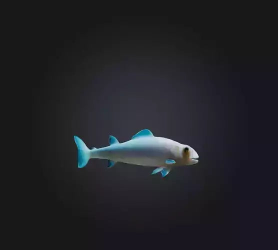 3D model Agnatha Fish VR / AR / low-poly