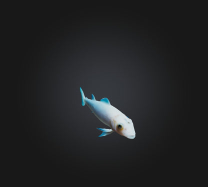 3D model Agnatha Fish VR / AR / low-poly