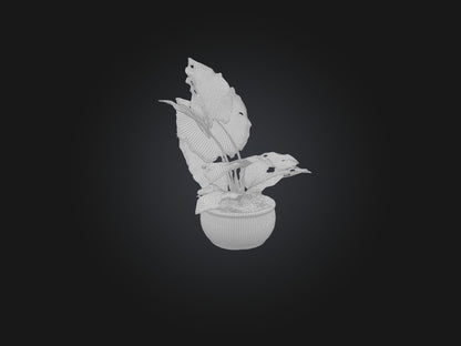3D model Alocasia Model VR / AR / low-poly