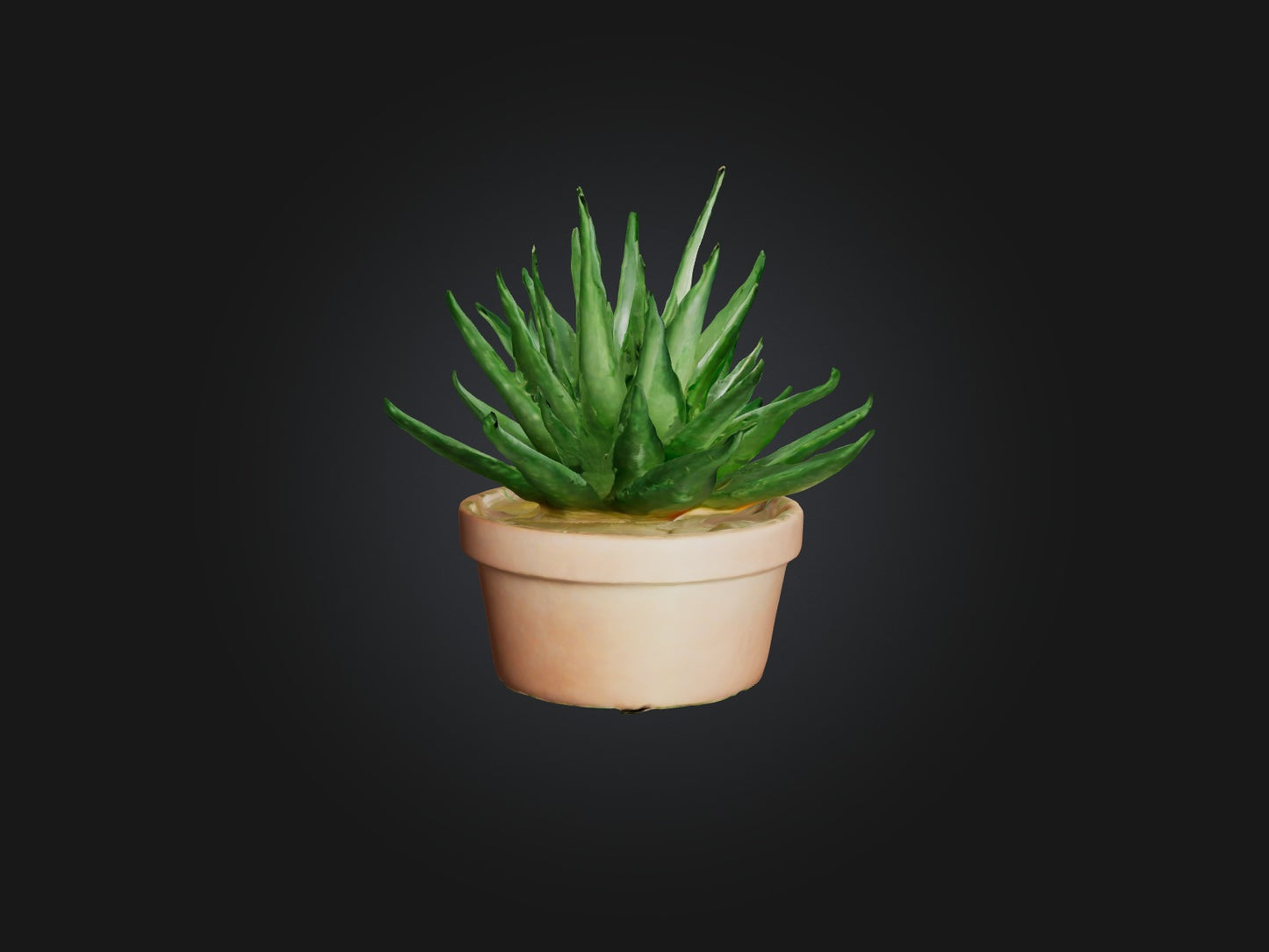 3D model Aloe Vera Model VR / AR / low-poly