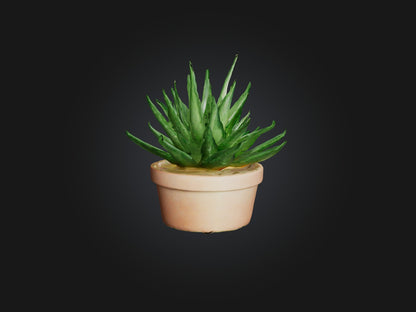 3D model Aloe Vera Model VR / AR / low-poly