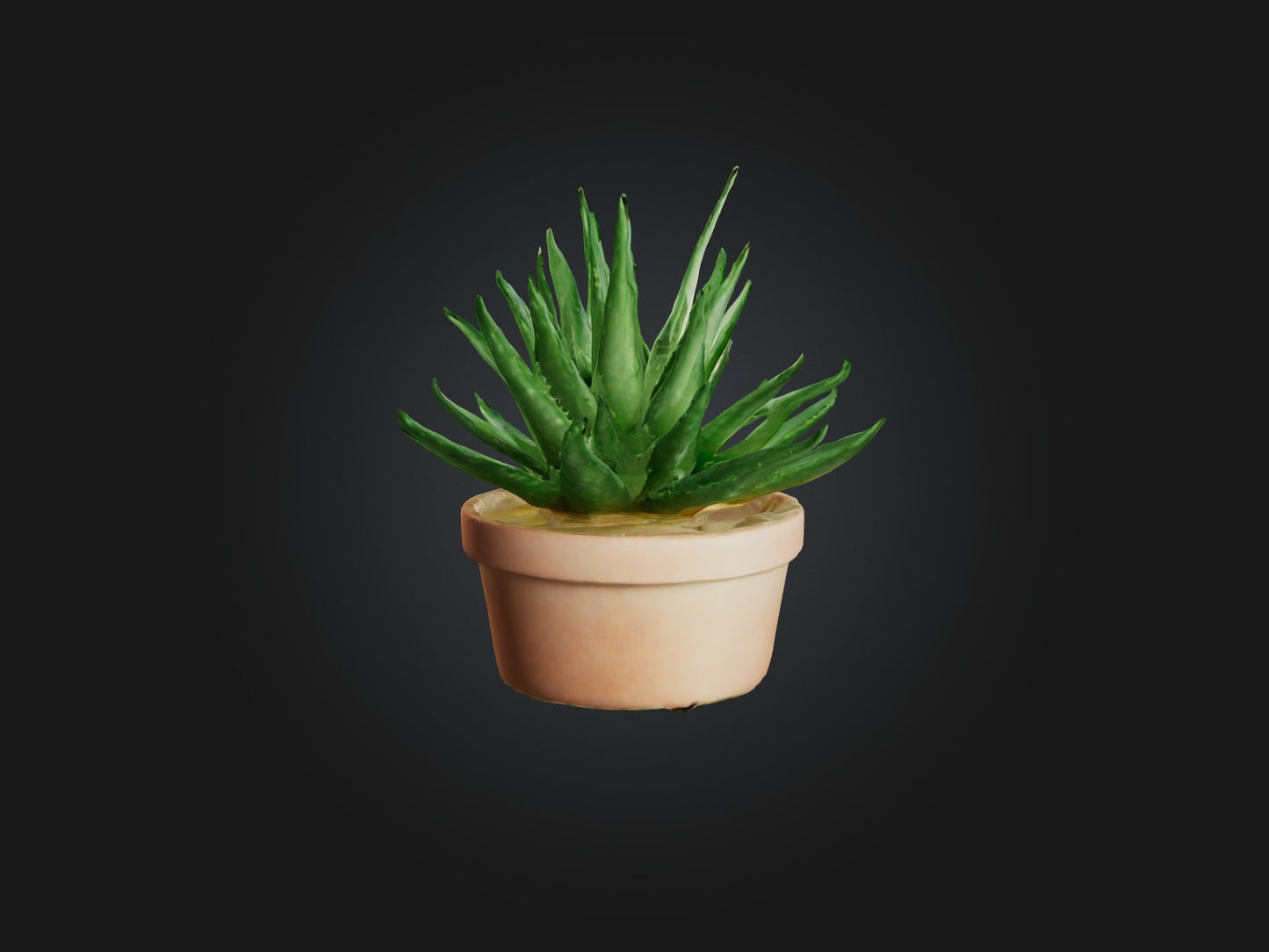 3D model Aloe Vera Model VR / AR / low-poly