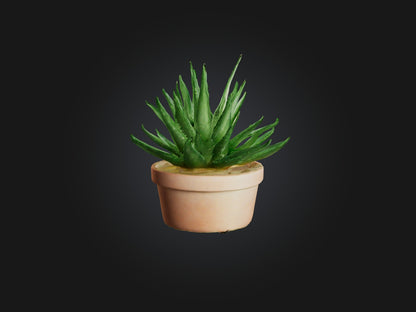 3D model Aloe Vera Model VR / AR / low-poly