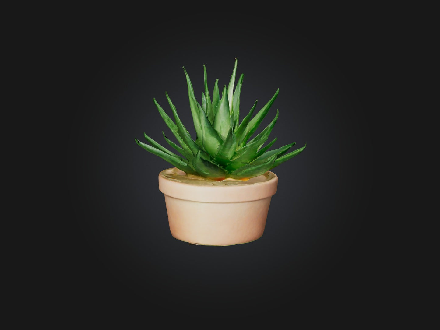 3D model Aloe Vera Model VR / AR / low-poly