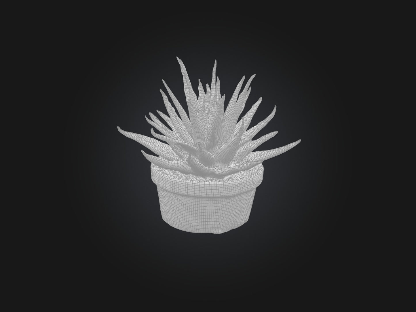 3D model Aloe Vera Model VR / AR / low-poly