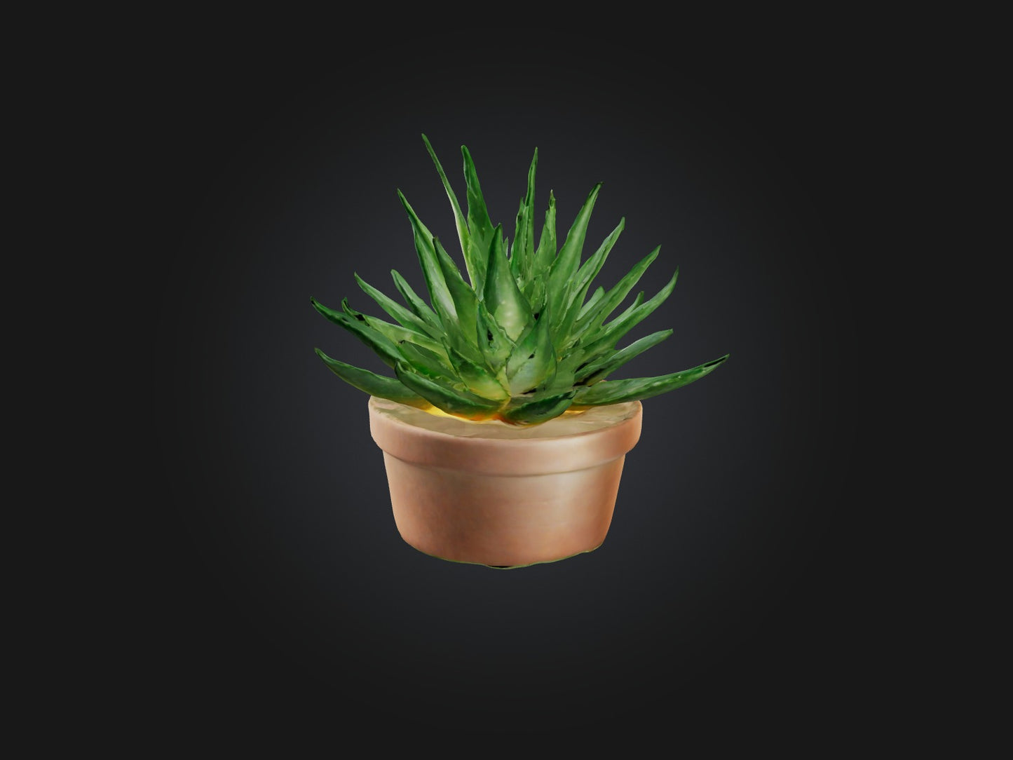 3D model Aloe Vera Model VR / AR / low-poly