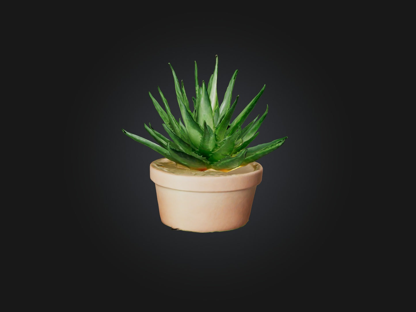 3D model Aloe Vera Model VR / AR / low-poly