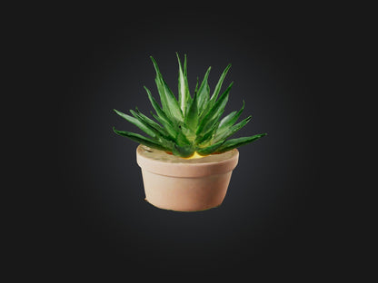 3D model Aloe Vera Model VR / AR / low-poly