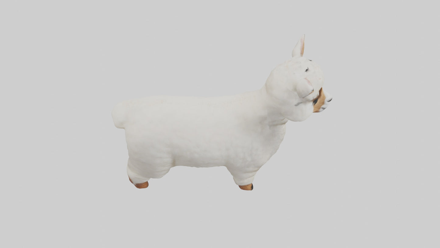 3D model Alpaca Model 1 VR / AR / low-poly