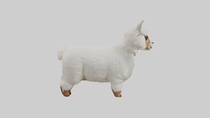 3D model Alpaca Model 1 VR / AR / low-poly