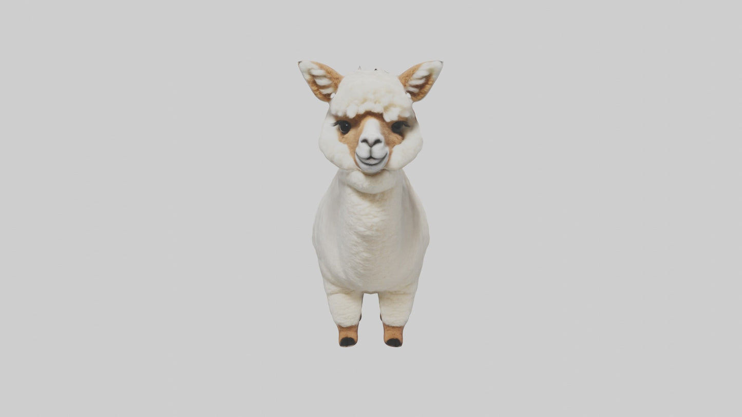 3D model Alpaca Model 1 VR / AR / low-poly
