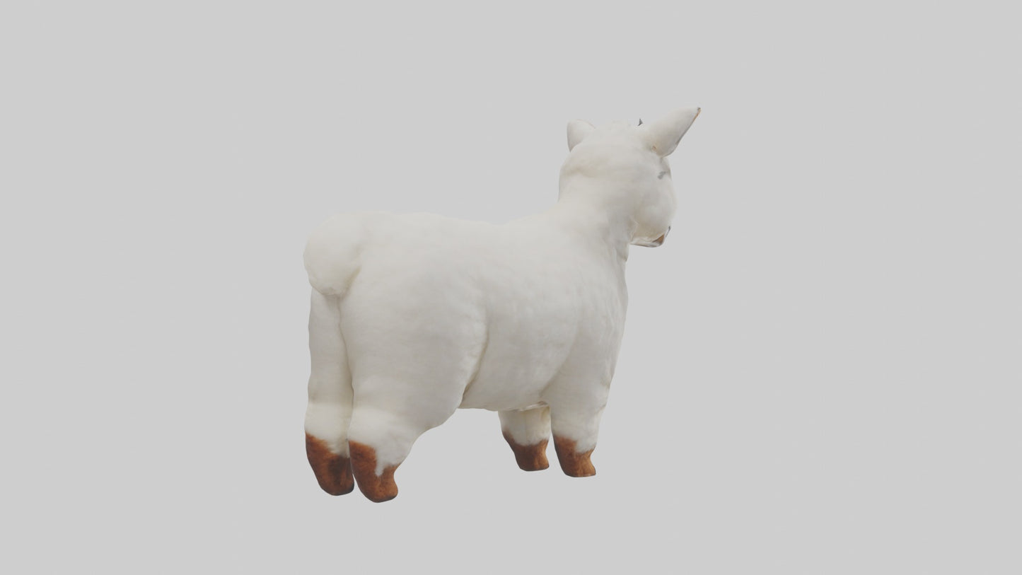 3D model Alpaca Model 1 VR / AR / low-poly