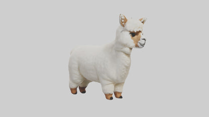 3D model Alpaca Model 1 VR / AR / low-poly