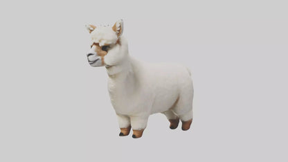 3D model Alpaca Model 1 VR / AR / low-poly