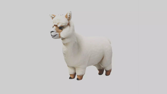 3D model Alpaca Model 1 VR / AR / low-poly