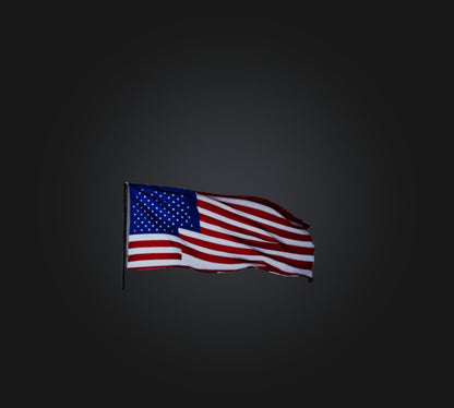 3D model American Flag VR / AR / low-poly