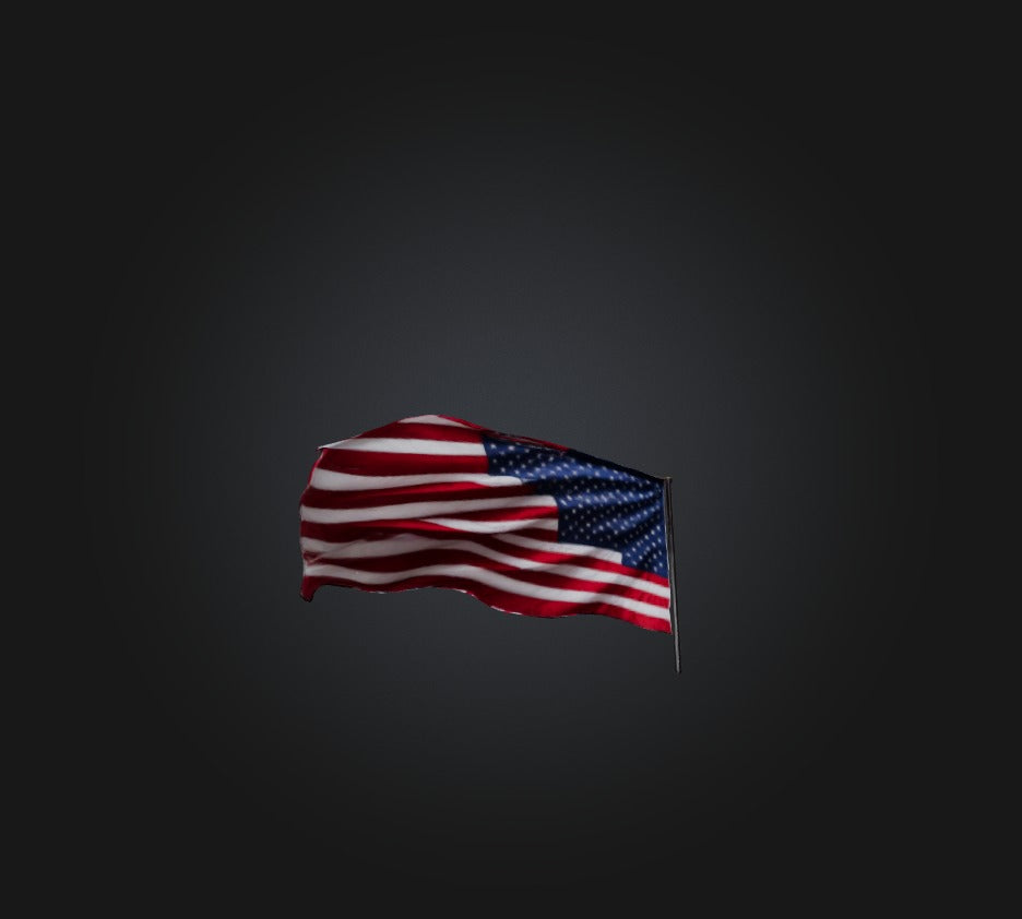 3D model American Flag VR / AR / low-poly