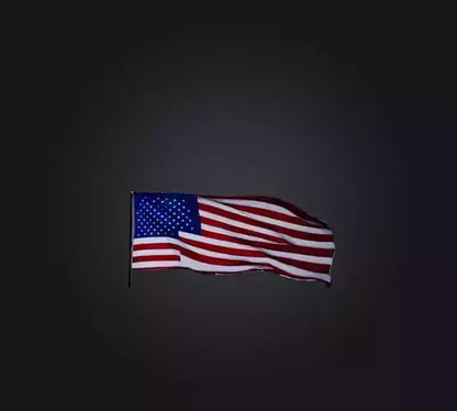 3D model American Flag VR / AR / low-poly