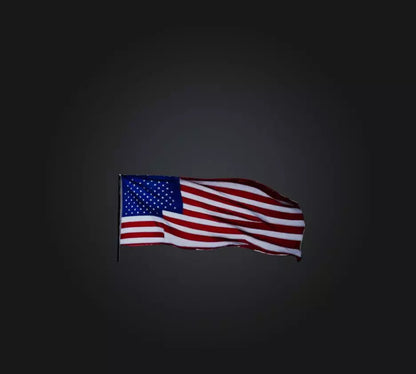 3D model American Flag VR / AR / low-poly