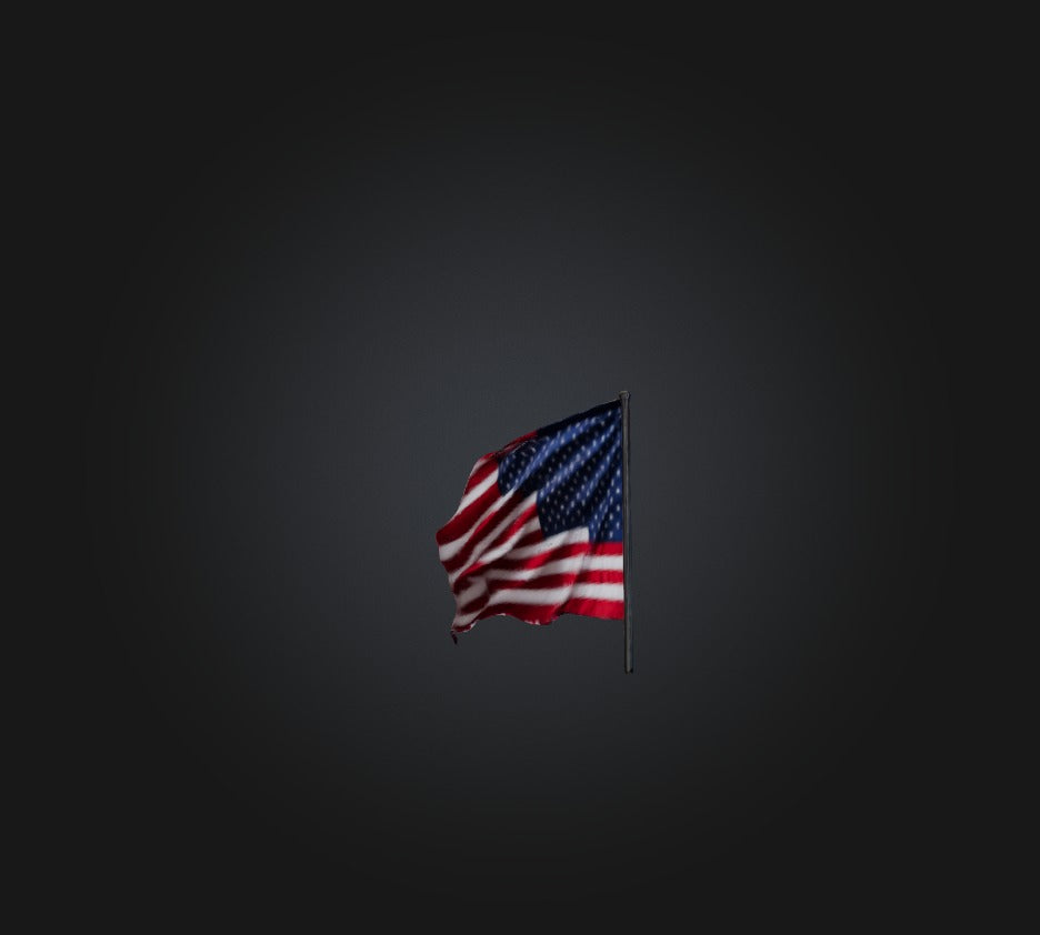 3D model American Flag VR / AR / low-poly