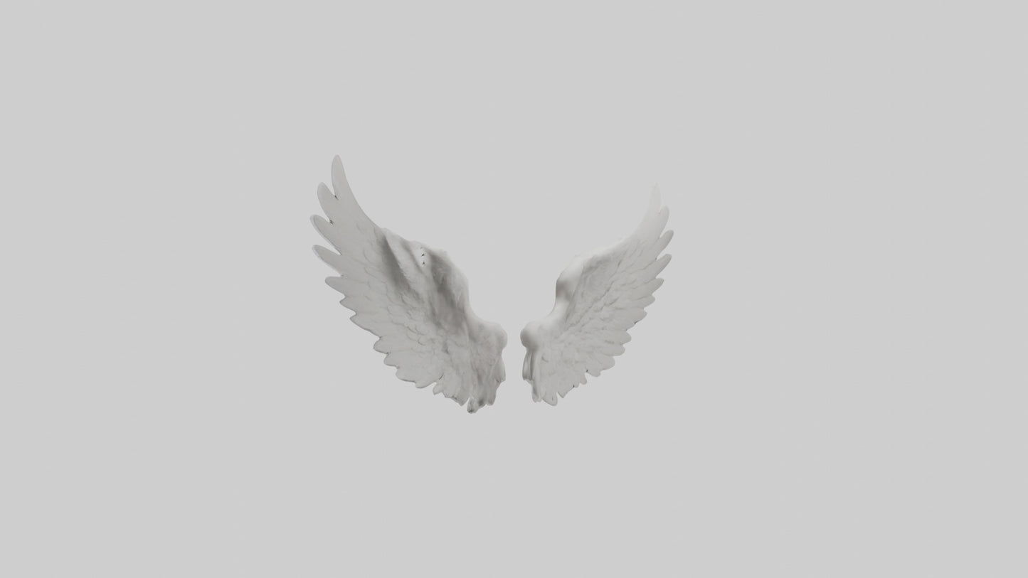 3D model Angelwings Model 1 VR / AR / low-poly