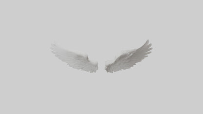 3D model Angelwings Model 1 VR / AR / low-poly