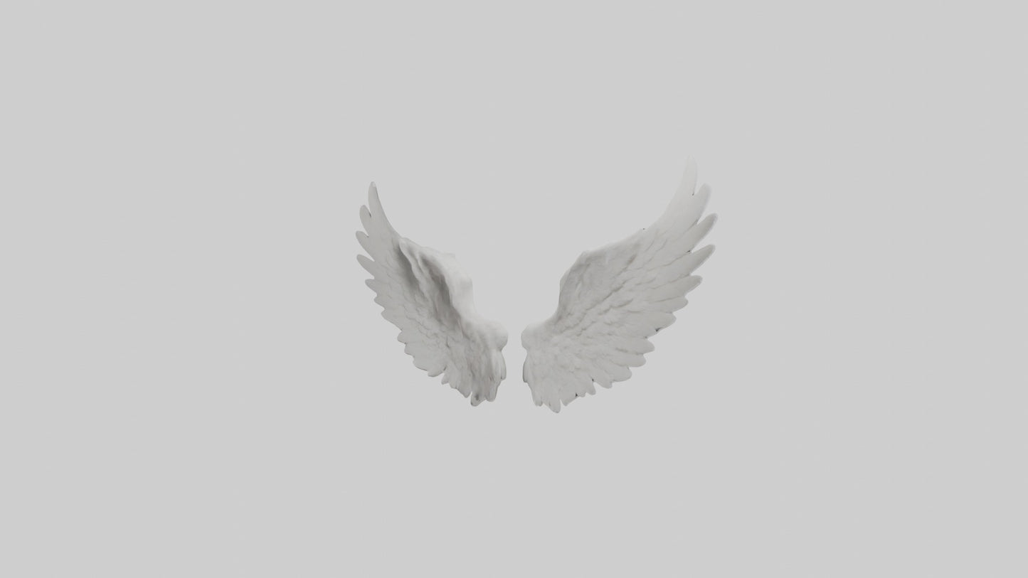 3D model Angelwings Model 1 VR / AR / low-poly