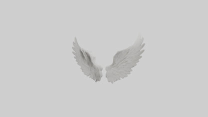 3D model Angelwings Model 1 VR / AR / low-poly