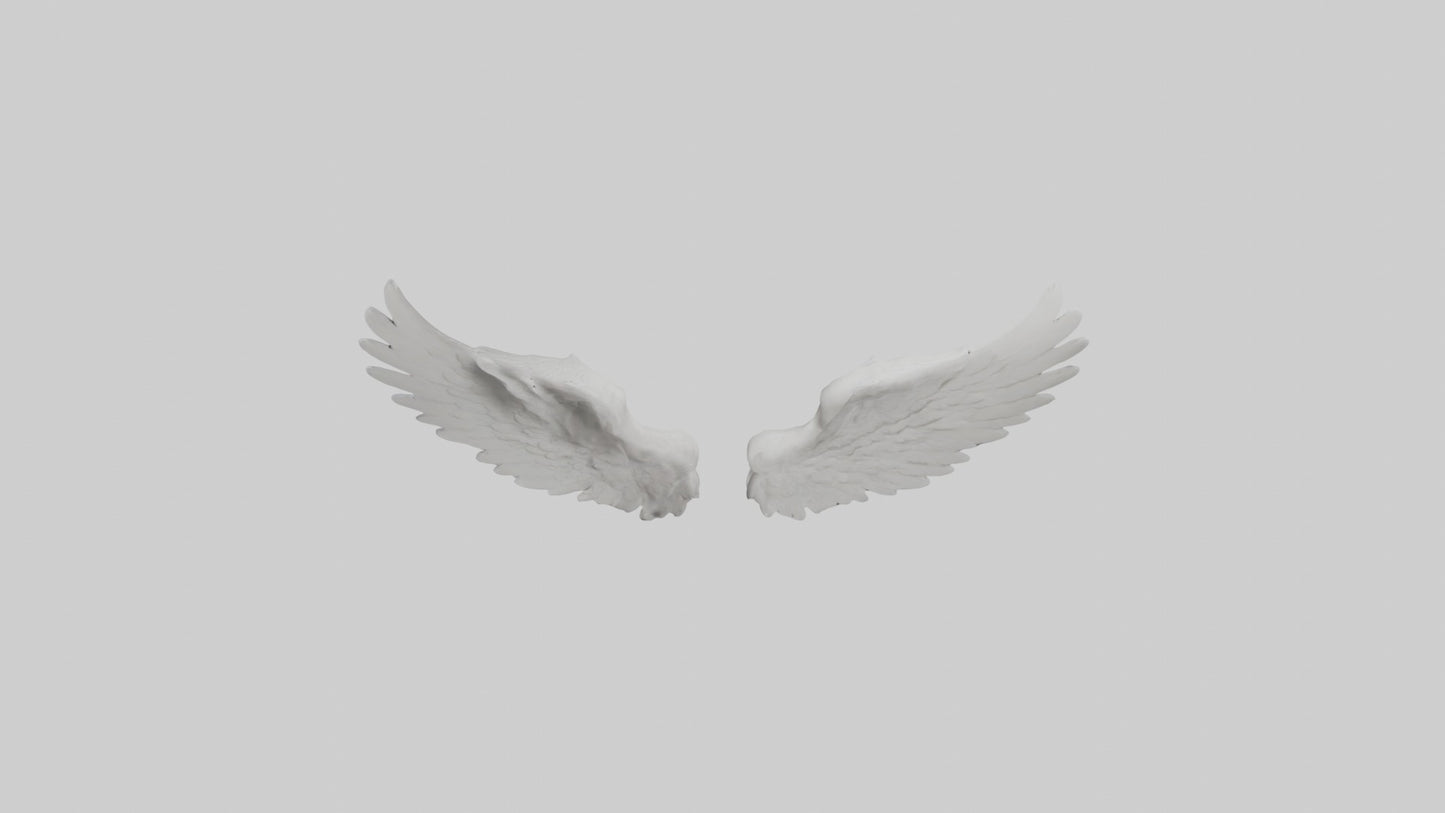 3D model Angelwings Model 1 VR / AR / low-poly