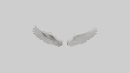 3D model Angelwings Model 1 VR / AR / low-poly