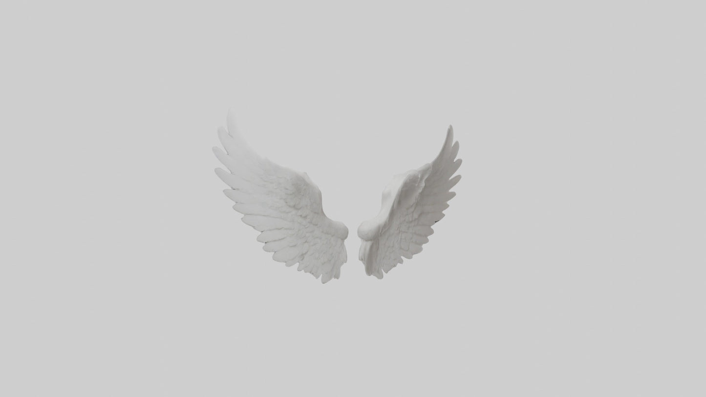 3D model Angelwings Model 1 VR / AR / low-poly