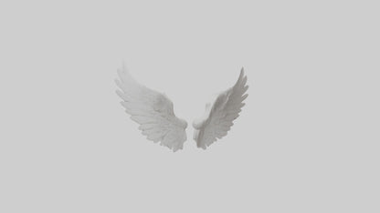 3D model Angelwings Model 1 VR / AR / low-poly