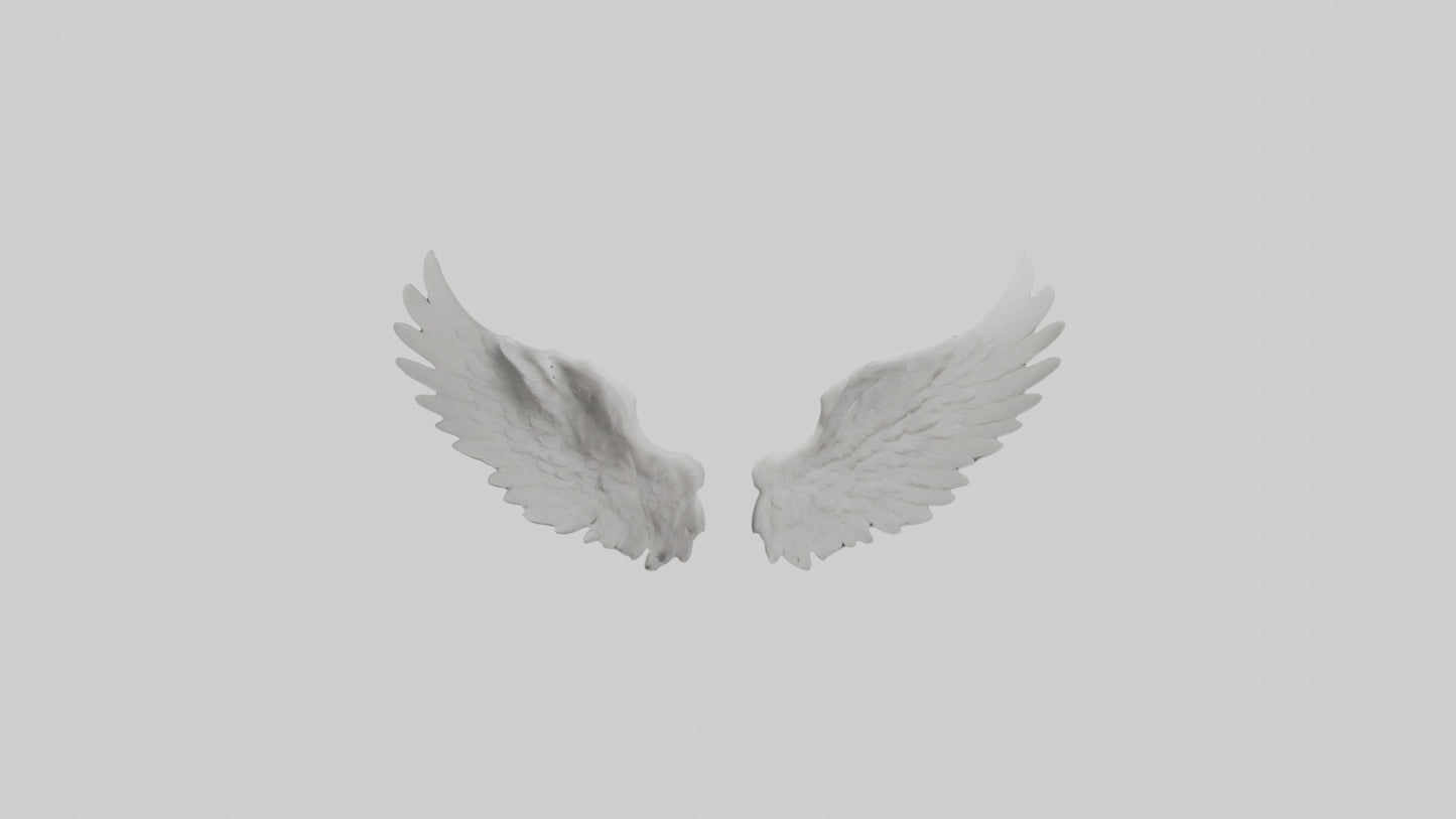 3D model Angelwings Model 1 VR / AR / low-poly