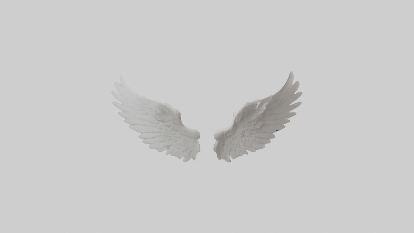 3D model Angelwings Model 1 VR / AR / low-poly