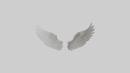 3D model Angelwings Model 1 VR / AR / low-poly