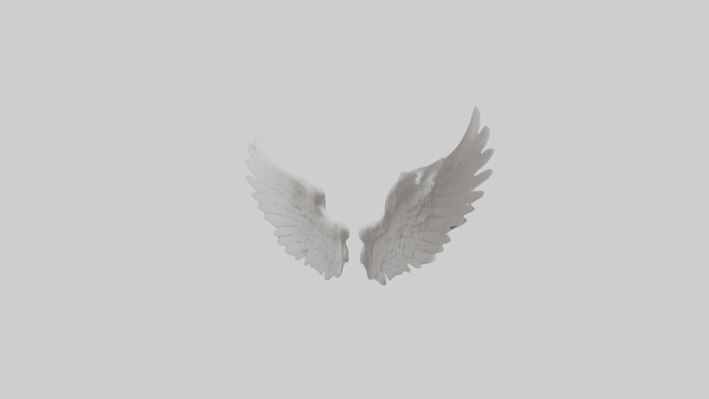 3D model Angelwings Model 1 VR / AR / low-poly